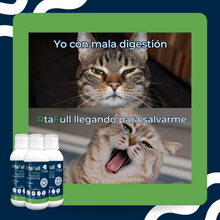 Cargar imagen en el visor de la galería, RTAFULL
