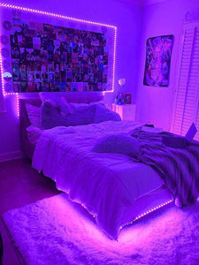 Luz Led MultiColor + Control